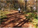 Planina - Dom na Mirni gori